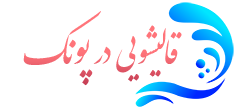 قالیشویی پونک 